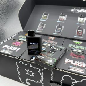 push disposable 2 gram