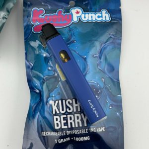 kushy punch disposable kushy punch 2g disposable kushy punch kushy weed kushy punch cart kushy punch carts