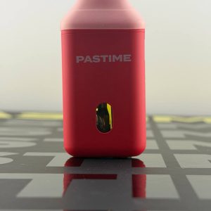 pastime 2g disposable pastime disposable 2g pastime disposable