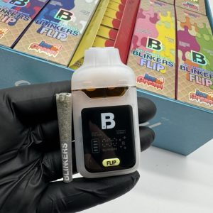 blinkers flip 2g disposable