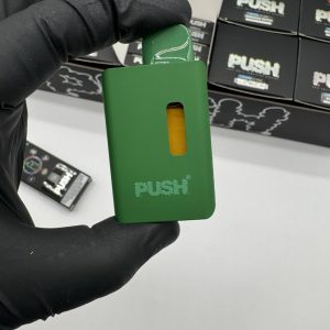 push dispo push disposables green edition push pens push disposable push 2g disposable green edition push pen push disposable with screen push disposables push 2g disposable with screen push 2g green with screen push 2 gram disposable with screen