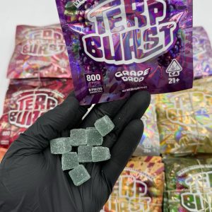 terp burst gummies review terp infused terp burst terp burst gummies 800mg burst gummies terp burst edibles 800mg terp burst edibles terp burst gummies