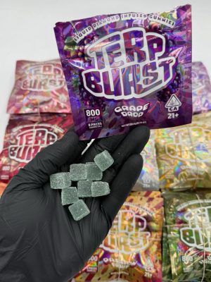 terp burst gummies review terp infused terp burst terp burst gummies 800mg burst gummies terp burst edibles 800mg terp burst edibles terp burst gummies